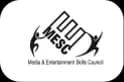 MESC — Media & Entertainment Skills Council
